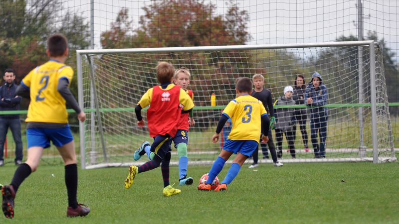 09 19-borovnica vir 01