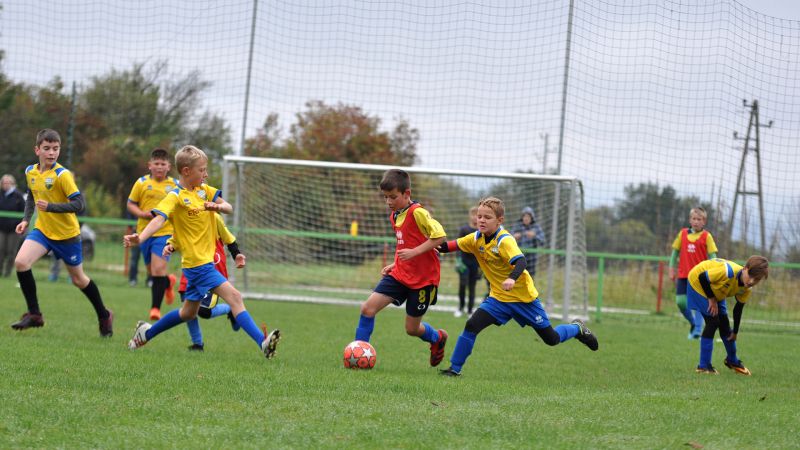 09 19-borovnica vir 11