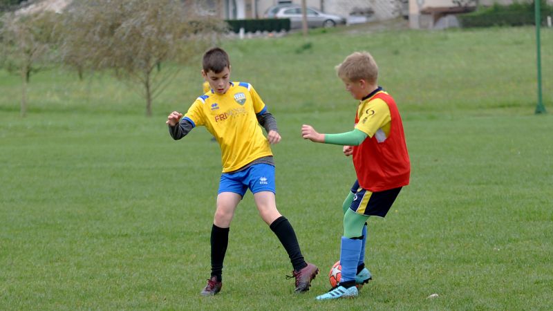 09 19-borovnica vir 24