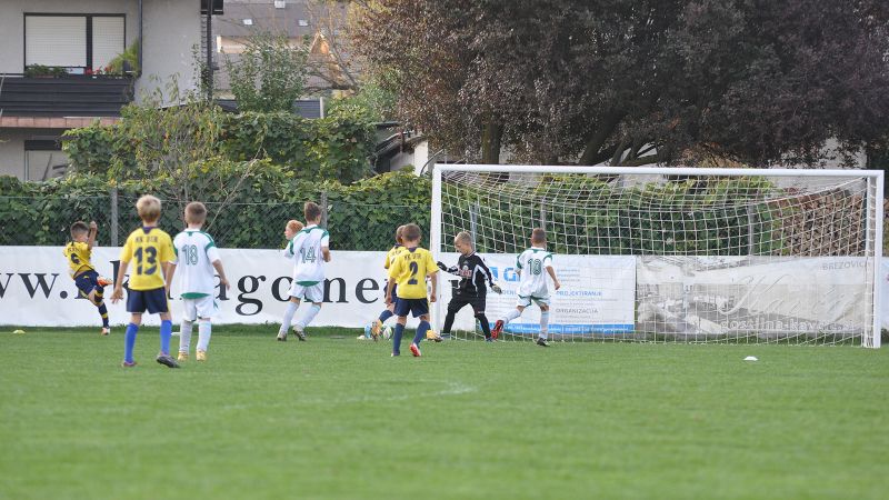 29 09-dragomer vir 13