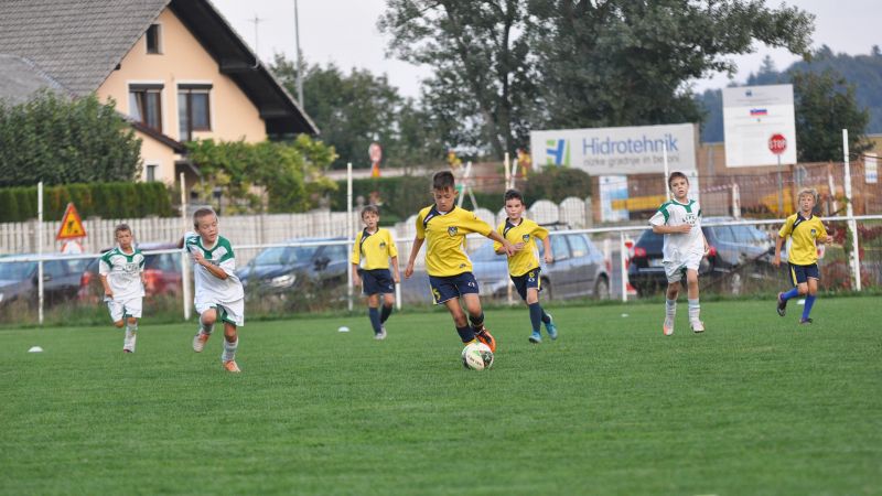 29 09-dragomer vir 29