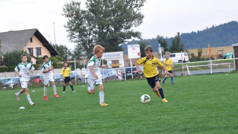 29 09-dragomer vir 31